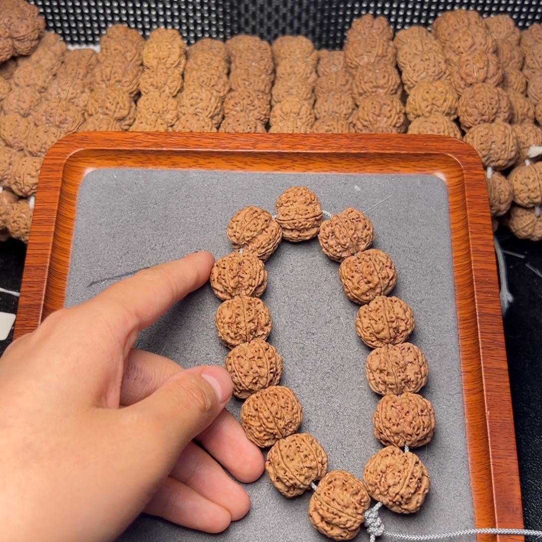 菩提9号尼泊尔大金刚21.5-22粗筋梅花