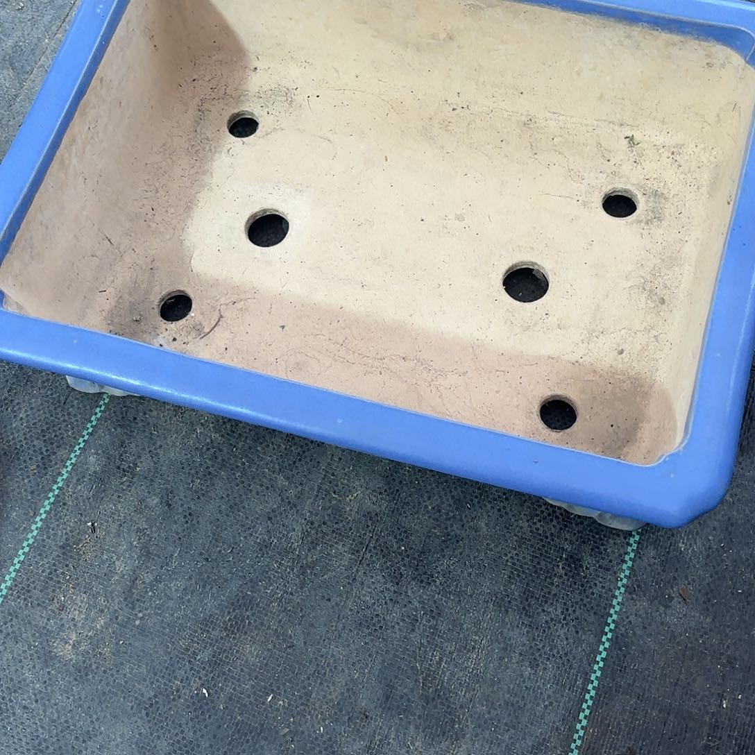 无花朵回流花盆宝山出品