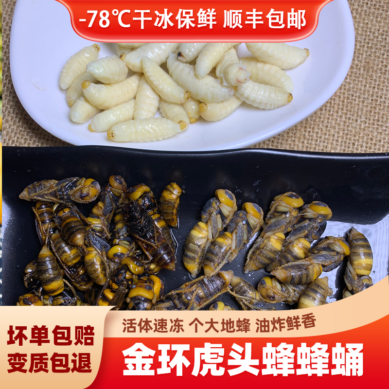 蜂蛹金环虎头蜂蜂蛹白蜂蛹大马蜂蛹新鲜冷冻发货食用蜂蛹