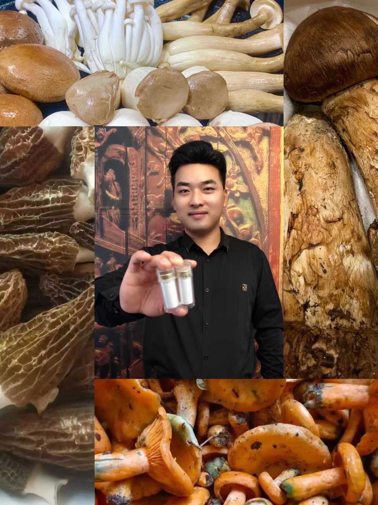 [土特产龙腾15专属项]0.8x108 总重量37g