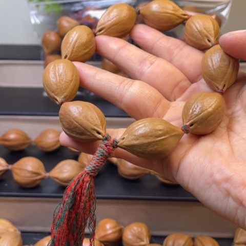 橄榄核手串/手链橄榄核2.0/38
