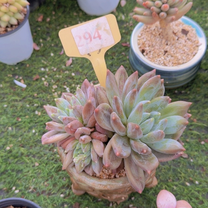 健健康康平平安安