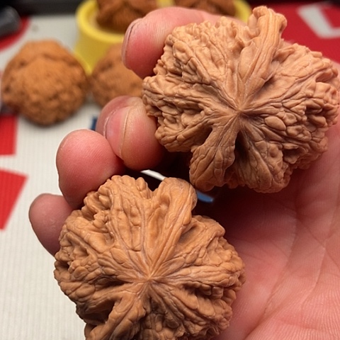 私***游文玩核桃把件大粗筋