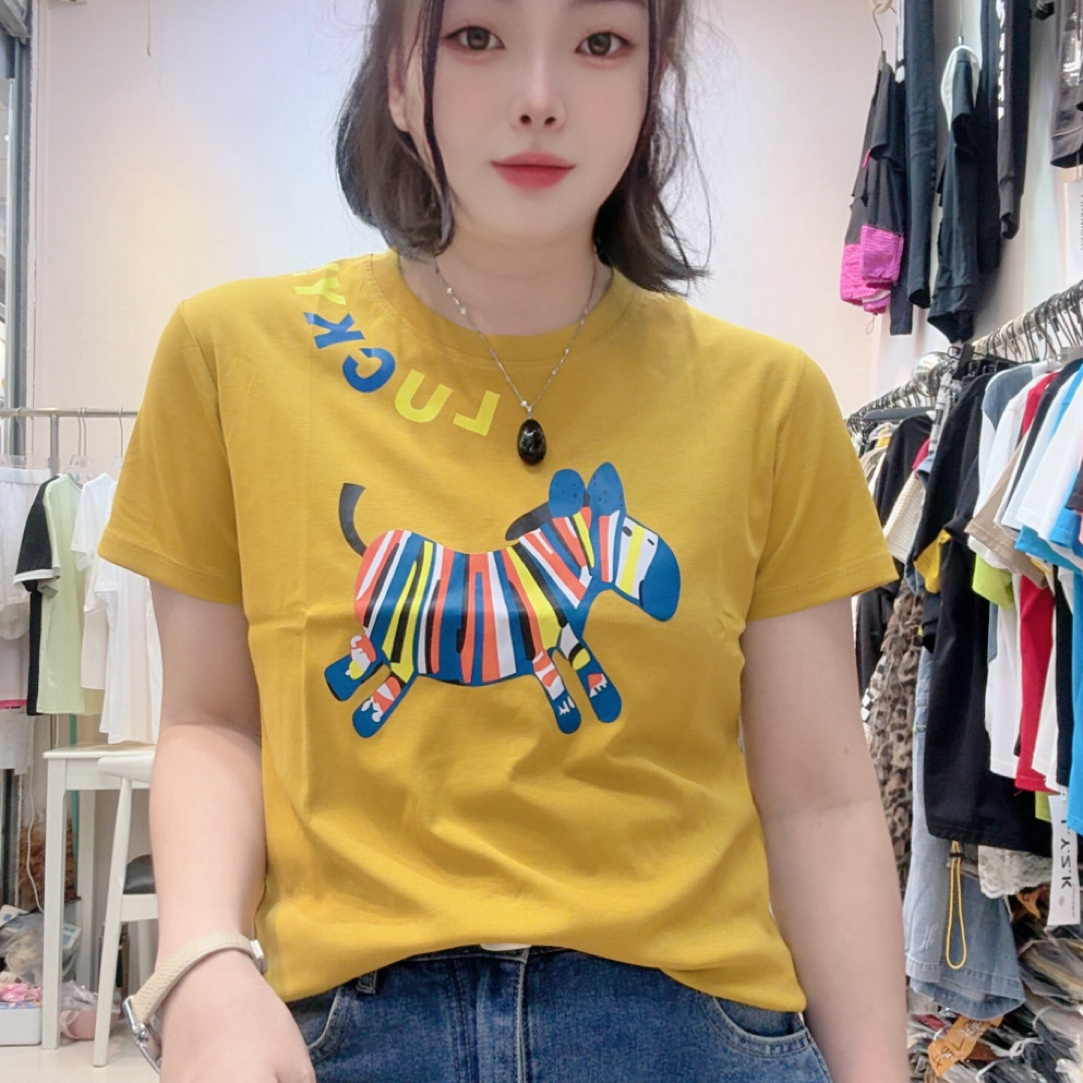 罗纹棉上衣彩色小马新款圆领正肩弹力显瘦百搭减龄休闲风女t