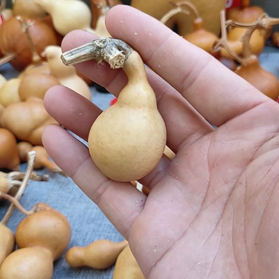 如***风葫芦娃娃娃娃娃娃娃娃