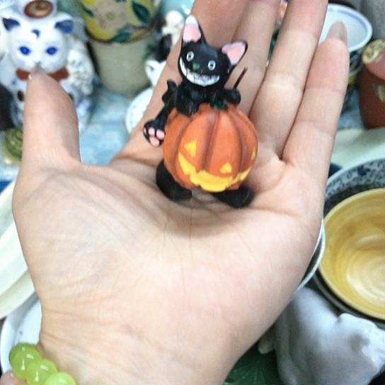 【闪购商品】瓷片瓷片瓷片瓷片