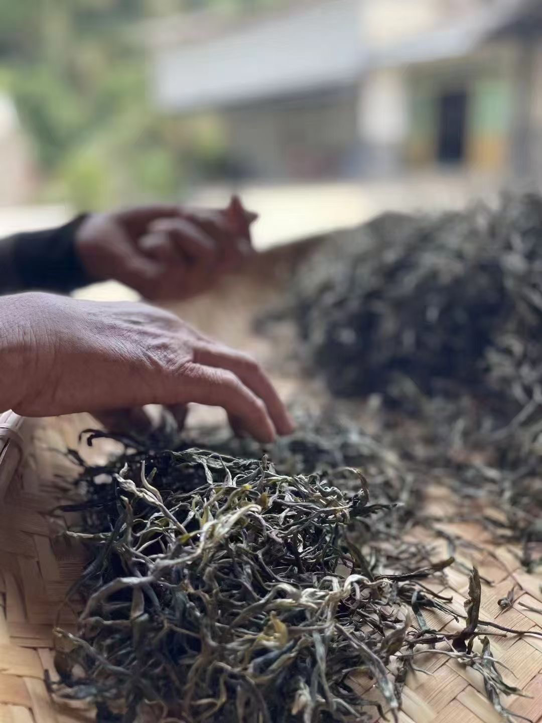 2025坝糯藤条茶500g散料普洱茶生茶