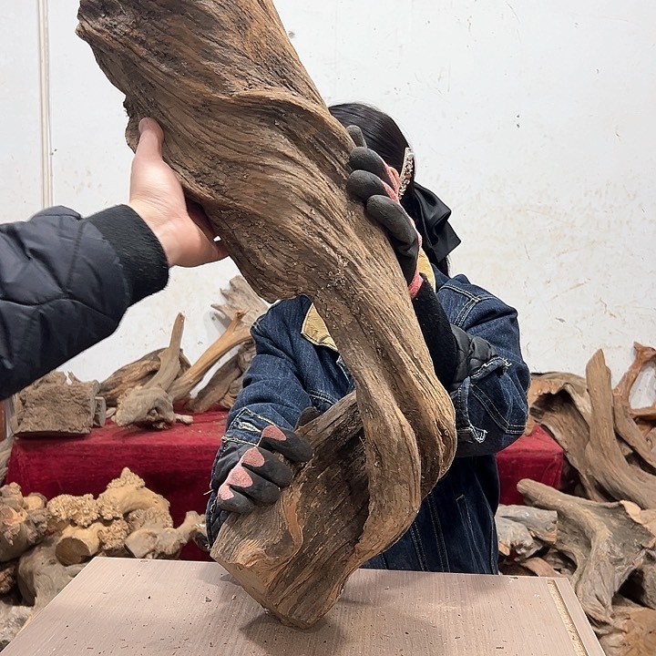 柏木华*华我们都是好孩子