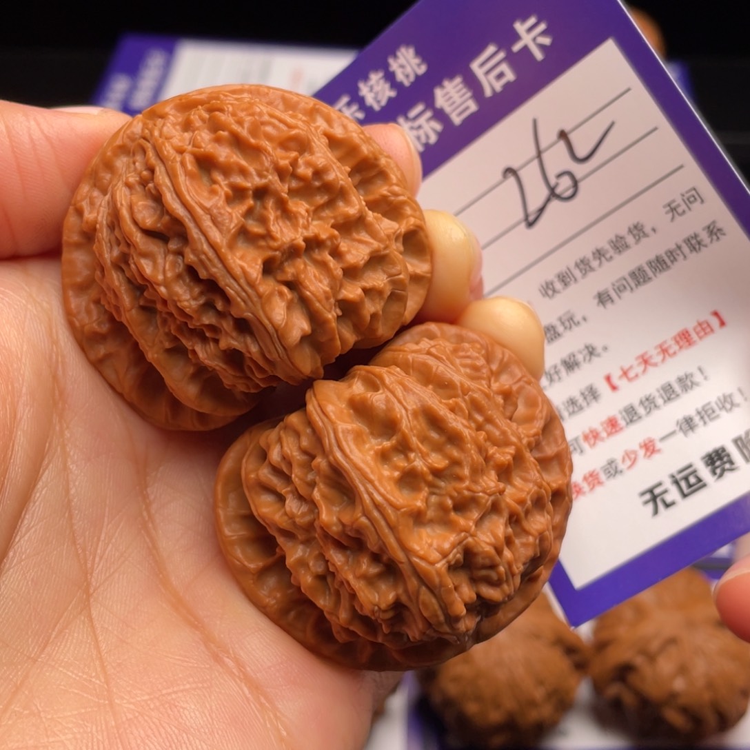 文玩核桃把件白狮子44.8尺