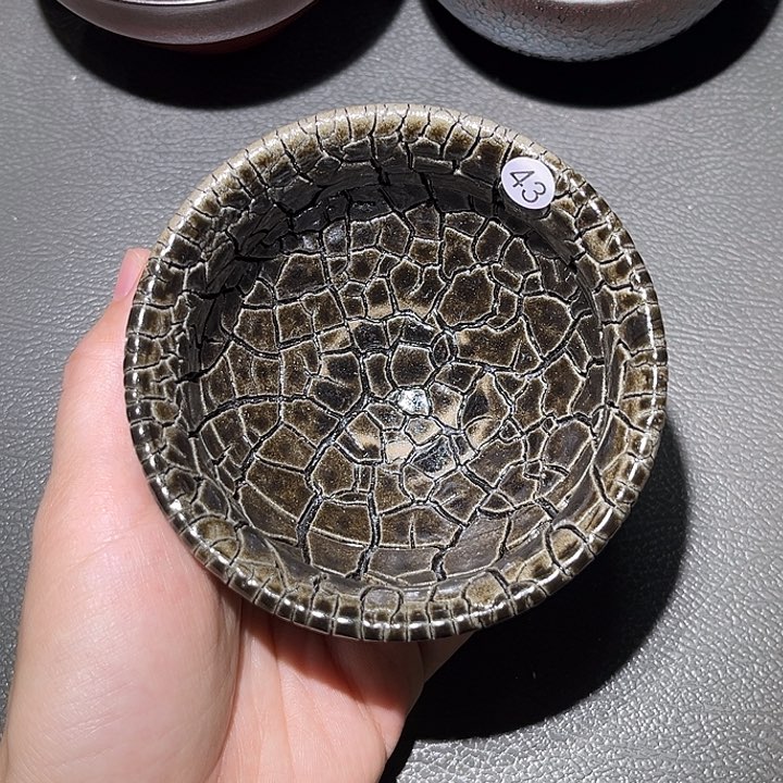 茶盏乐乐乐乐乐乐乐乐乐乐乐