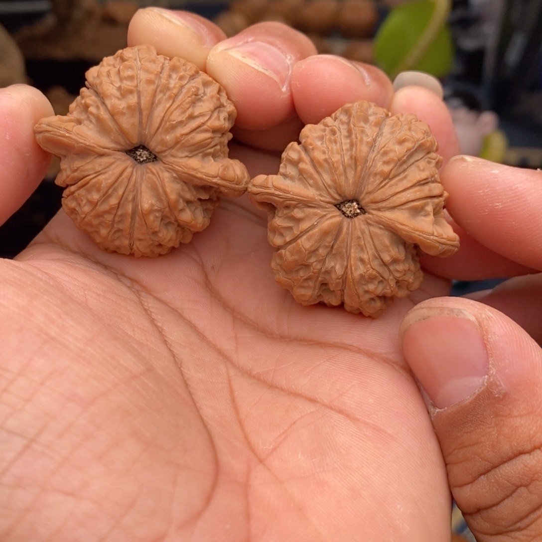 文玩核桃吊坠平谷血麒麟