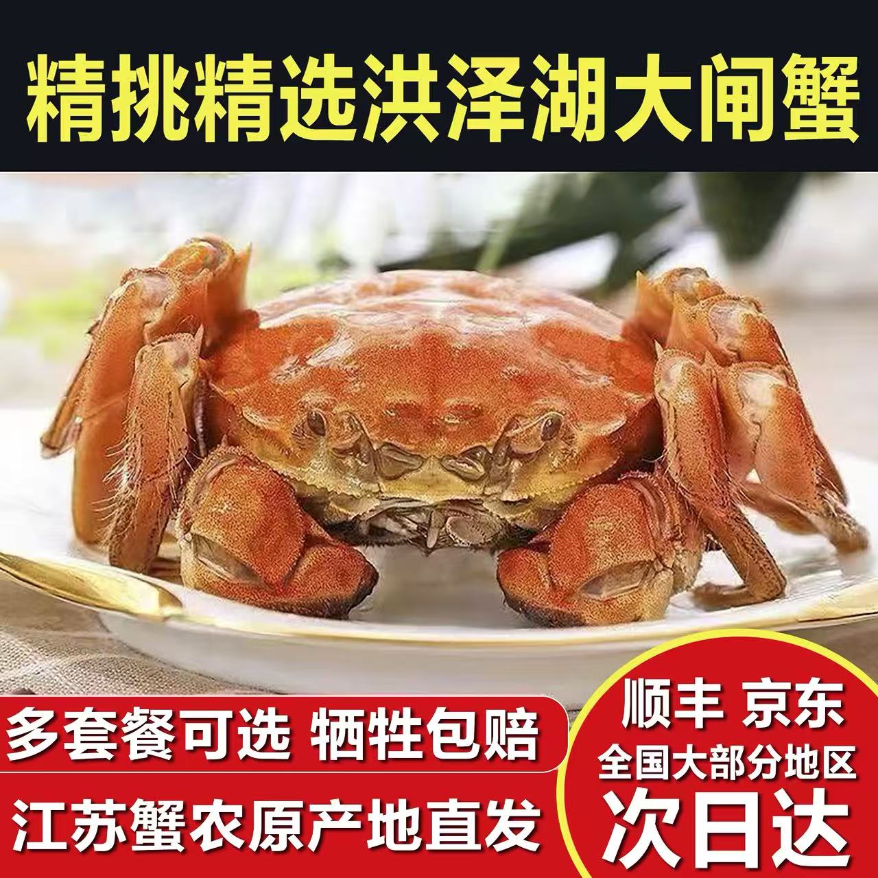 【活蟹】洪泽湖-大闸蟹-母蟹-2-2.3两8/10只顺丰京东冷链礼盒包邮