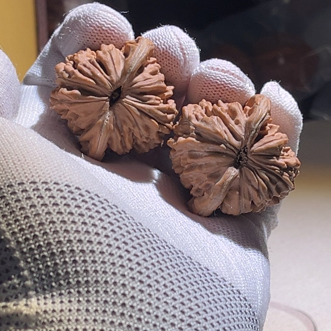 法***然楼子楼子楼子楼子 