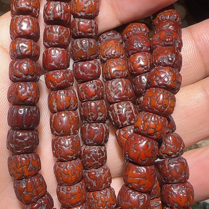 藏区老金刚保老漂亮