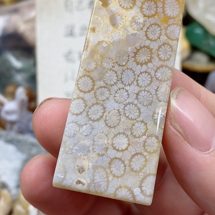 硅化珊瑚（珊瑚玉）未镶嵌颈饰