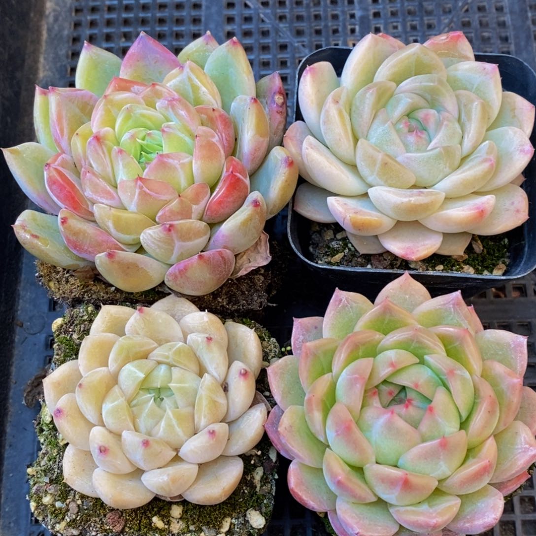 361的人在一起的时候就