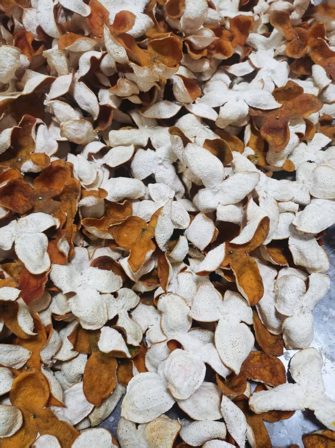 广西浦北陈皮茶枝柑