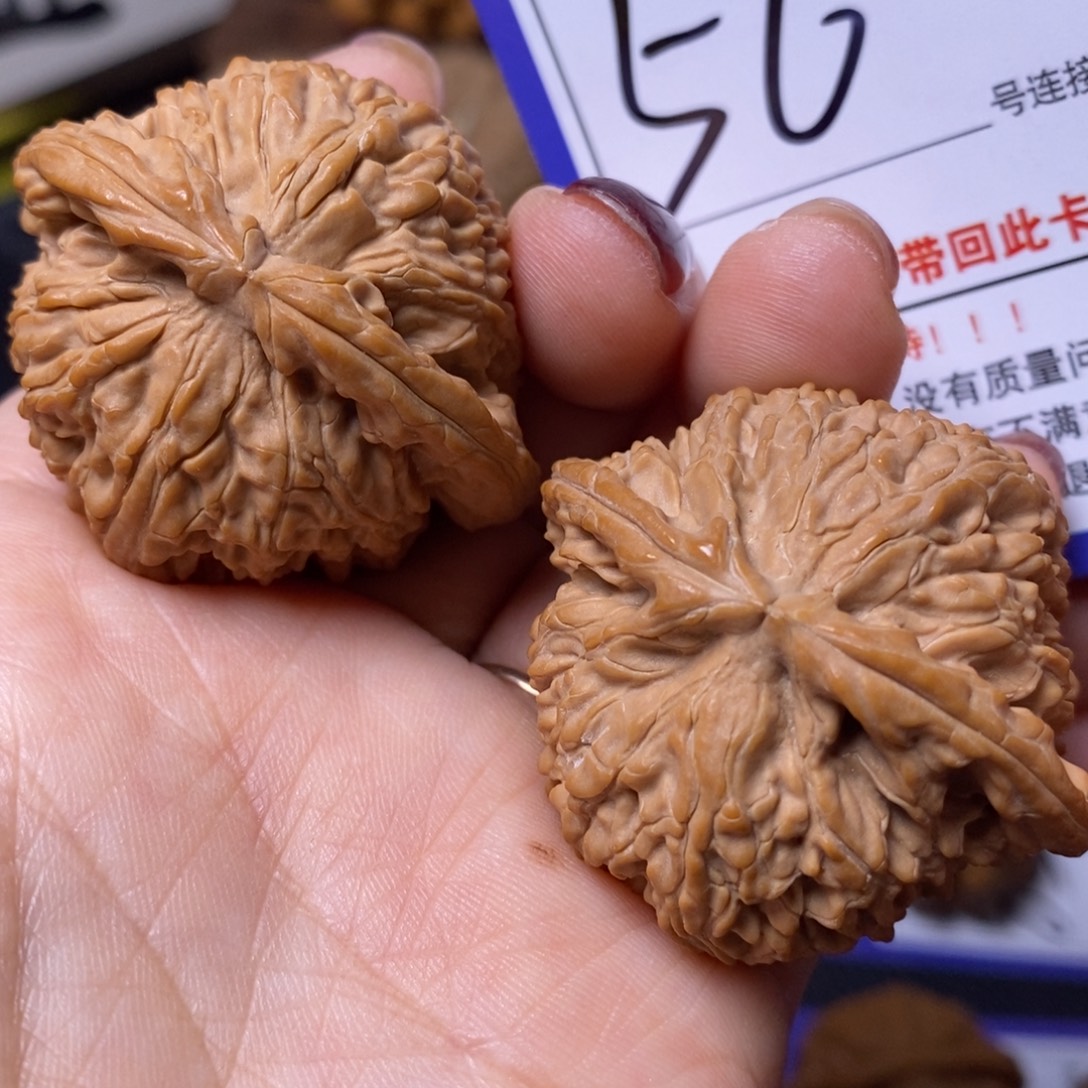 文玩核桃把件43白狮子56全