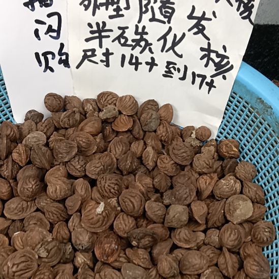 水***金吊坠桃核龙纹碳化核66元6斤随机发