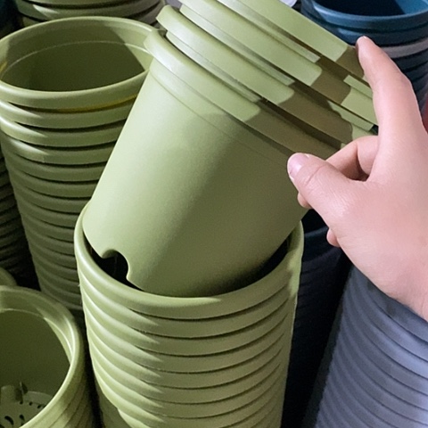 树脂特价2号13个无托果绿