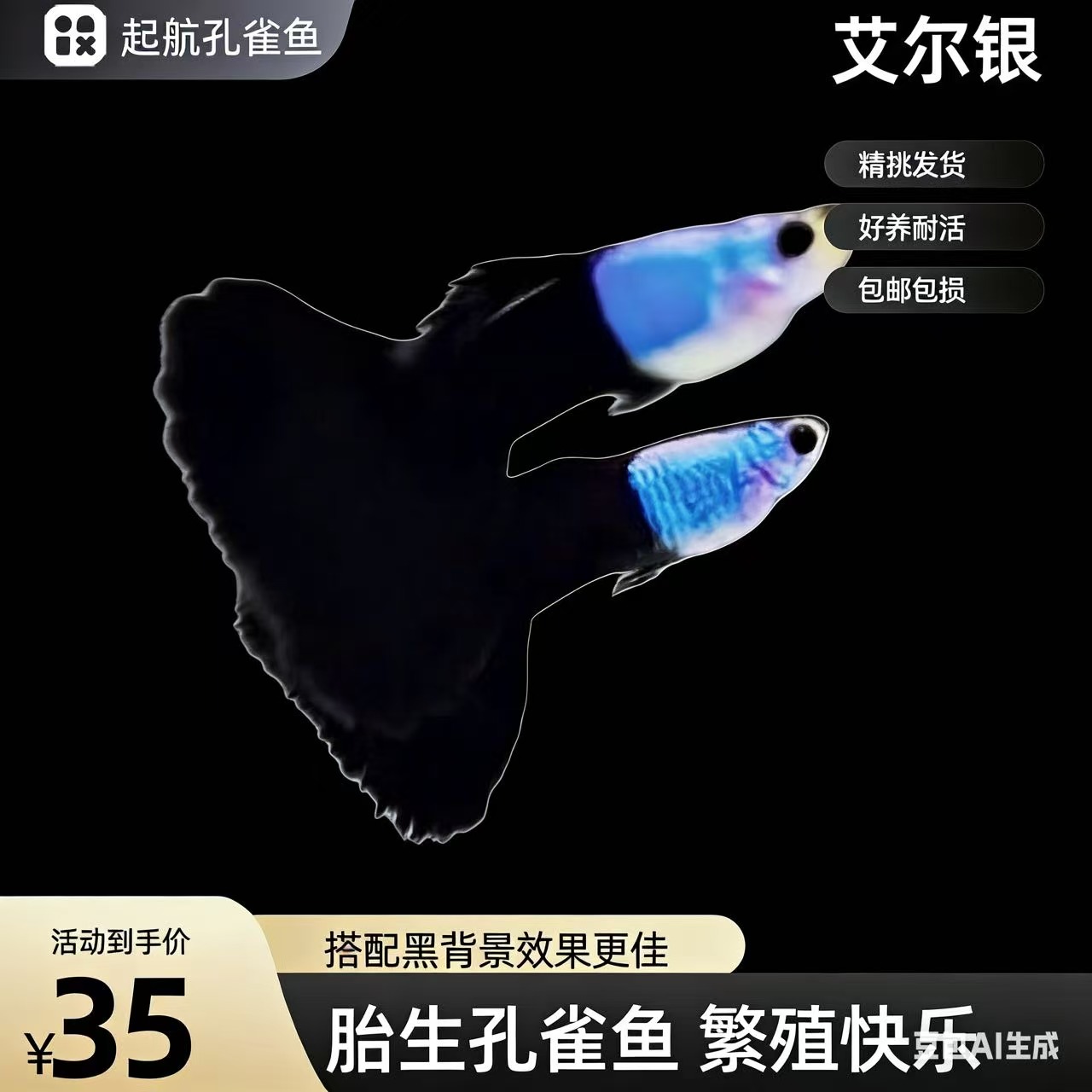 艾尔银蓝尾孔雀鱼