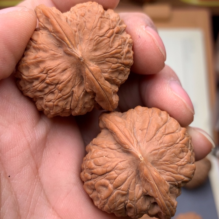 桃核把件九**…38血麒麟核桃