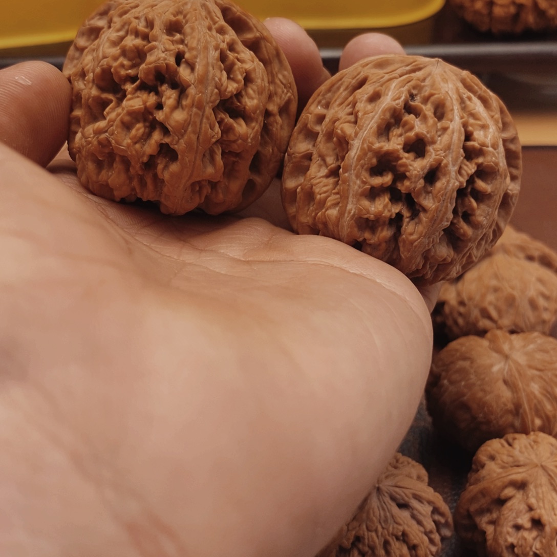 把件文玩核桃48尺寸全品粗筋