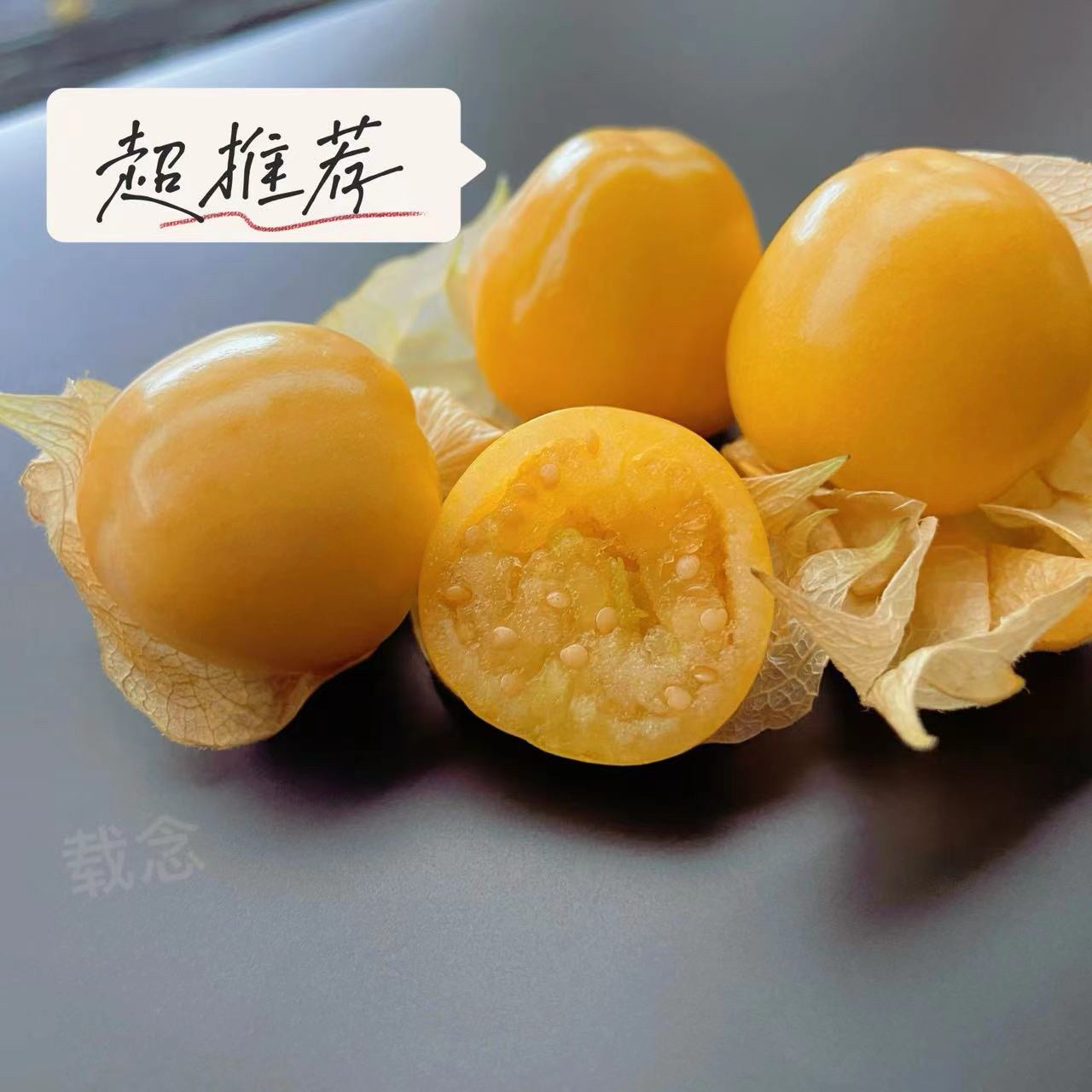 【载念优选】东北精选菇娘黄姑娘果新鲜皮薄产地直发应季多汁特产