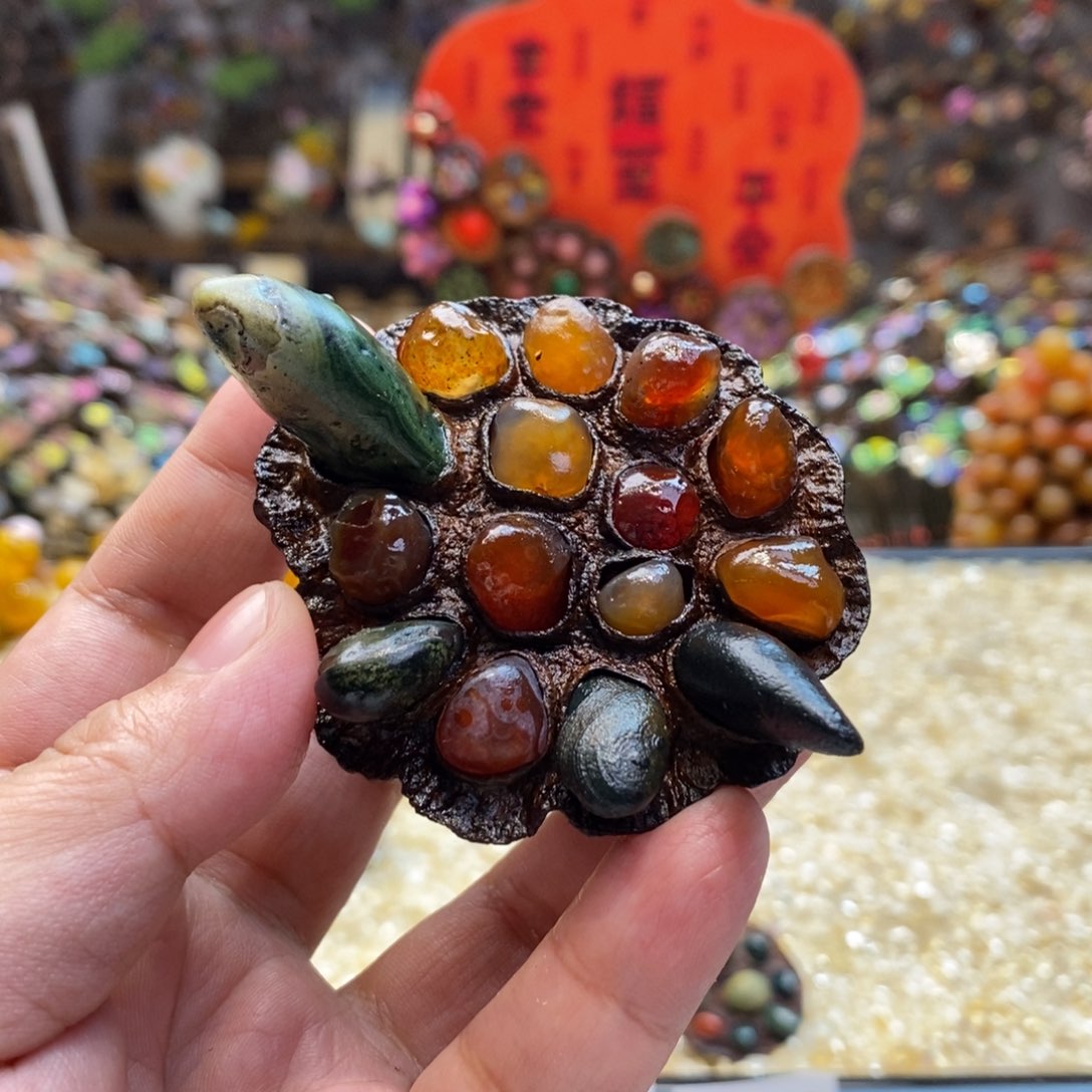 核桃木/黑胡桃（胡桃木）161恐龙