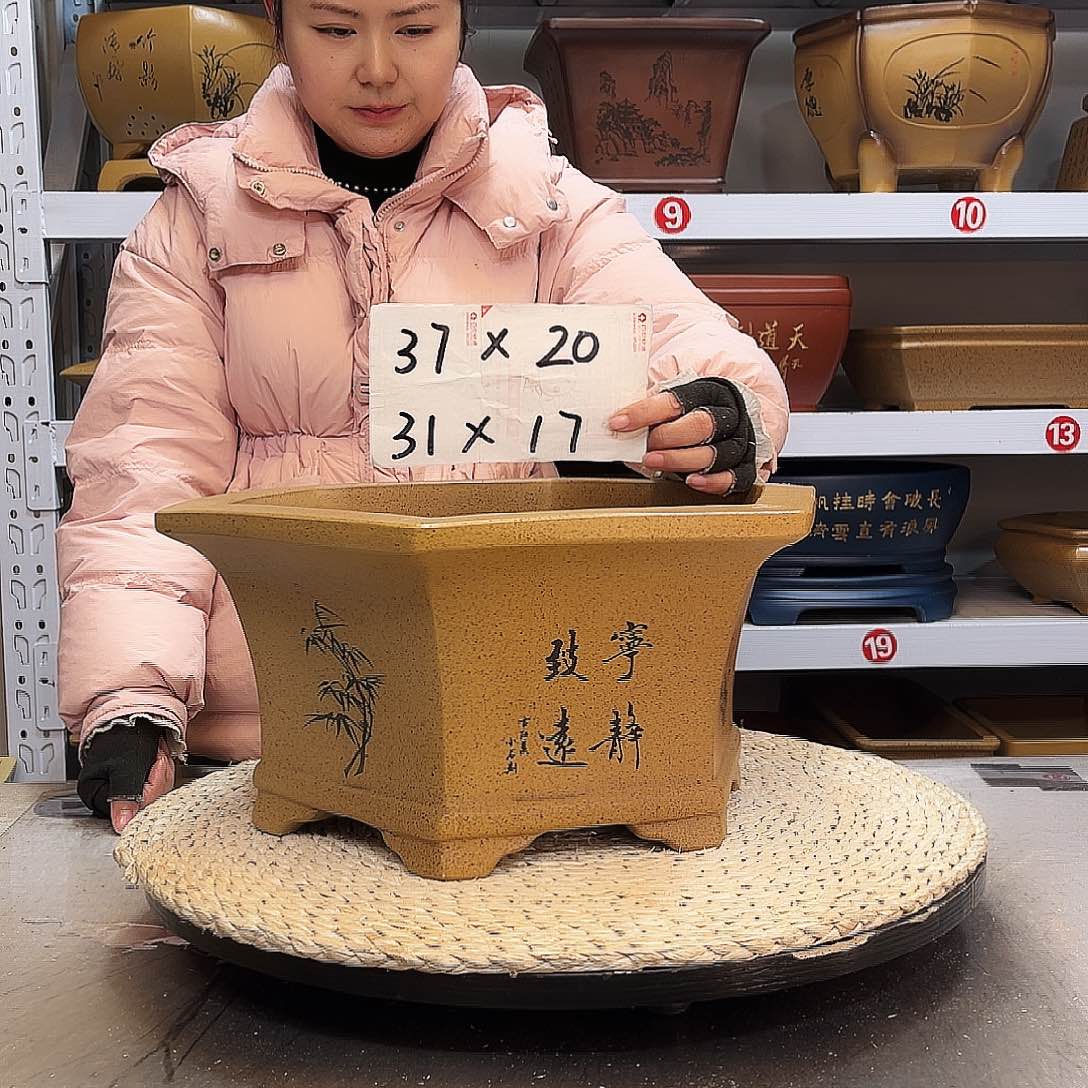 紫砂花盆紫砂花盆