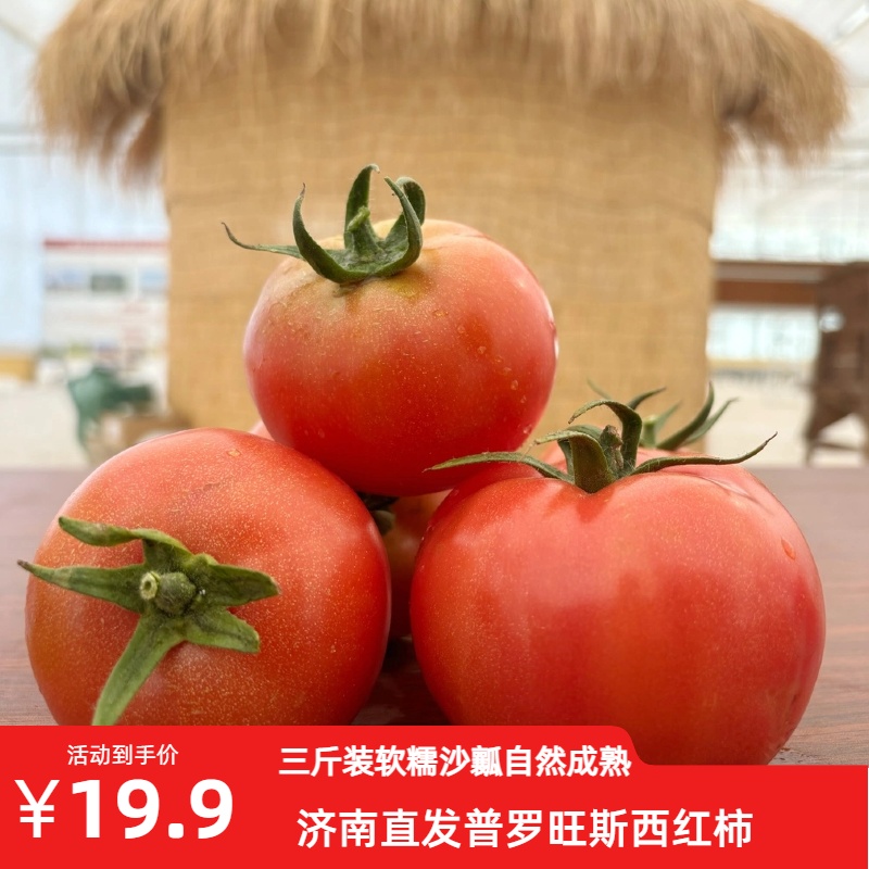 【软糯沙瓤】普罗旺斯西红柿三斤装原产地直发自然成熟爆汁鲜嫩