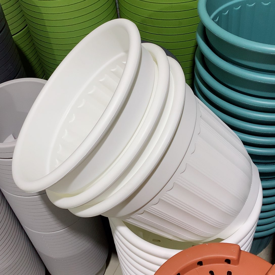 树脂罗马口32白3个无托