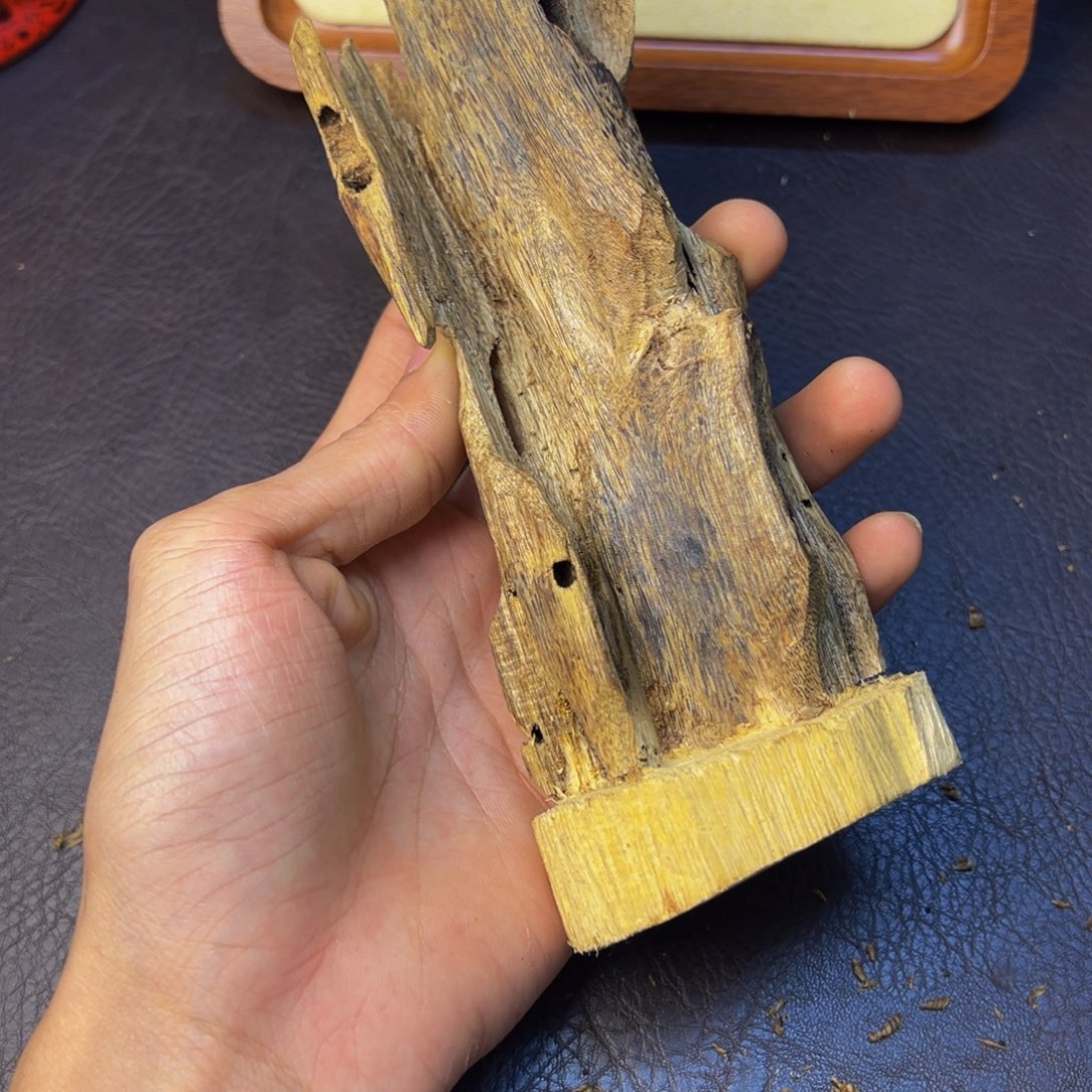 动***师沉香碎屑沉香乌身