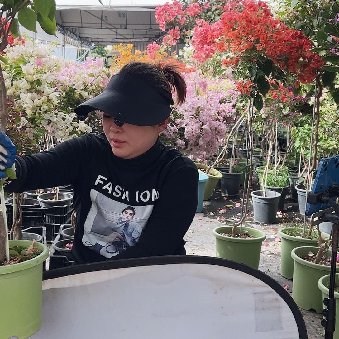 漫***漫大部分花苞少量开放K78波妹