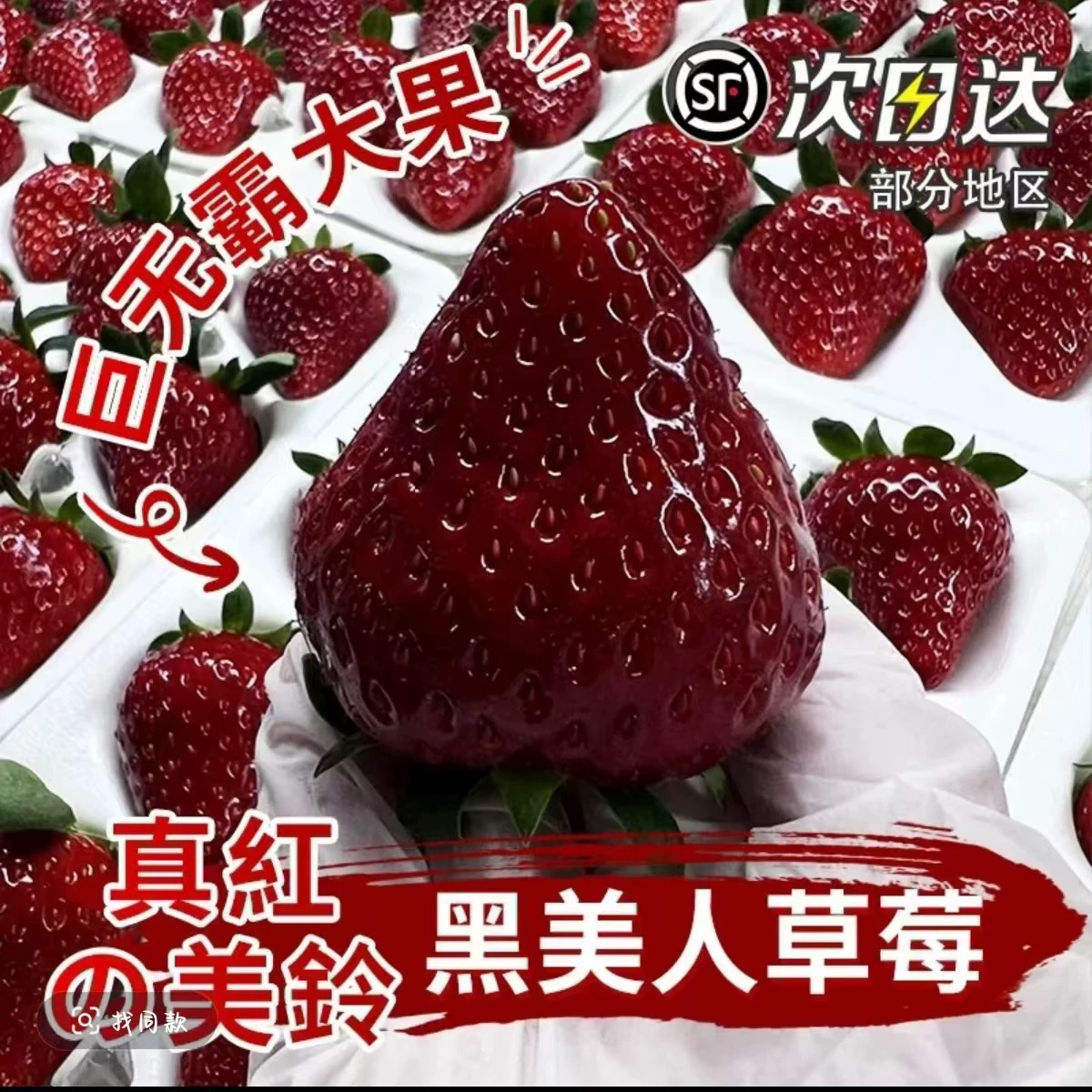 【顺丰特快】真红美玲黑珍珠草莓礼盒装应季新鲜水果快递送货上门