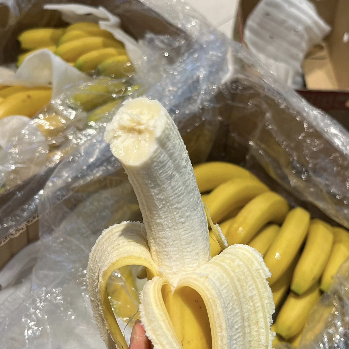 国产香蕉两斤人工精选果形匀称果肉爽滑香甜多汁高山绿皮软糯自然熟当季新鲜清甜软低糖