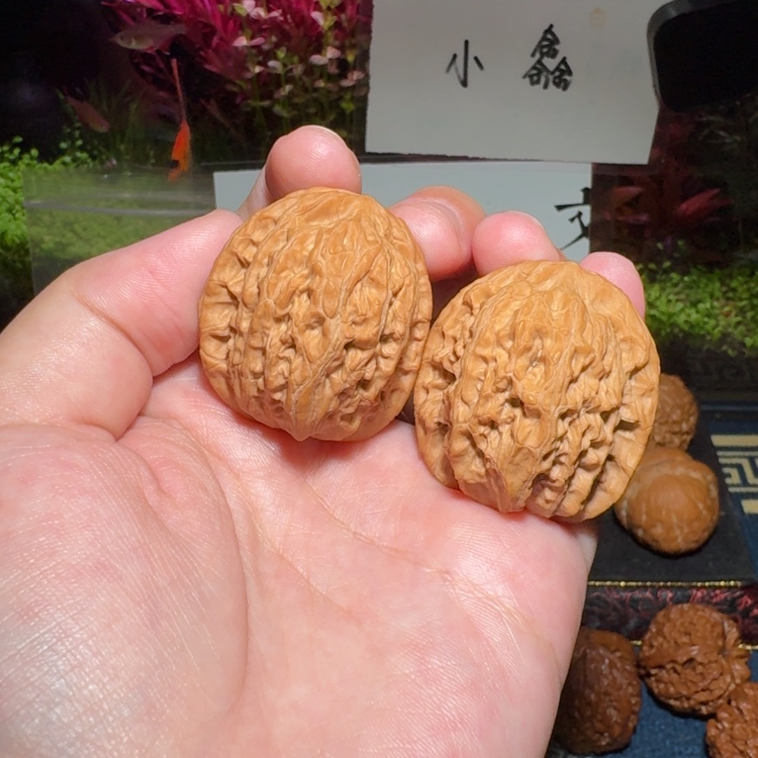 核桃把件1255号35鸭蛋虎头文玩核桃