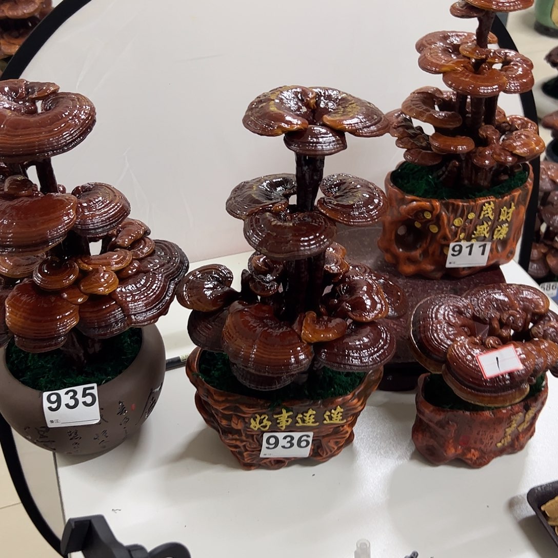 灵芝盆景家居摆件