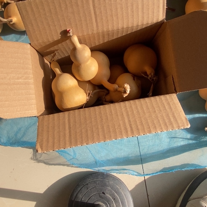 葫芦文玩葫芦八个