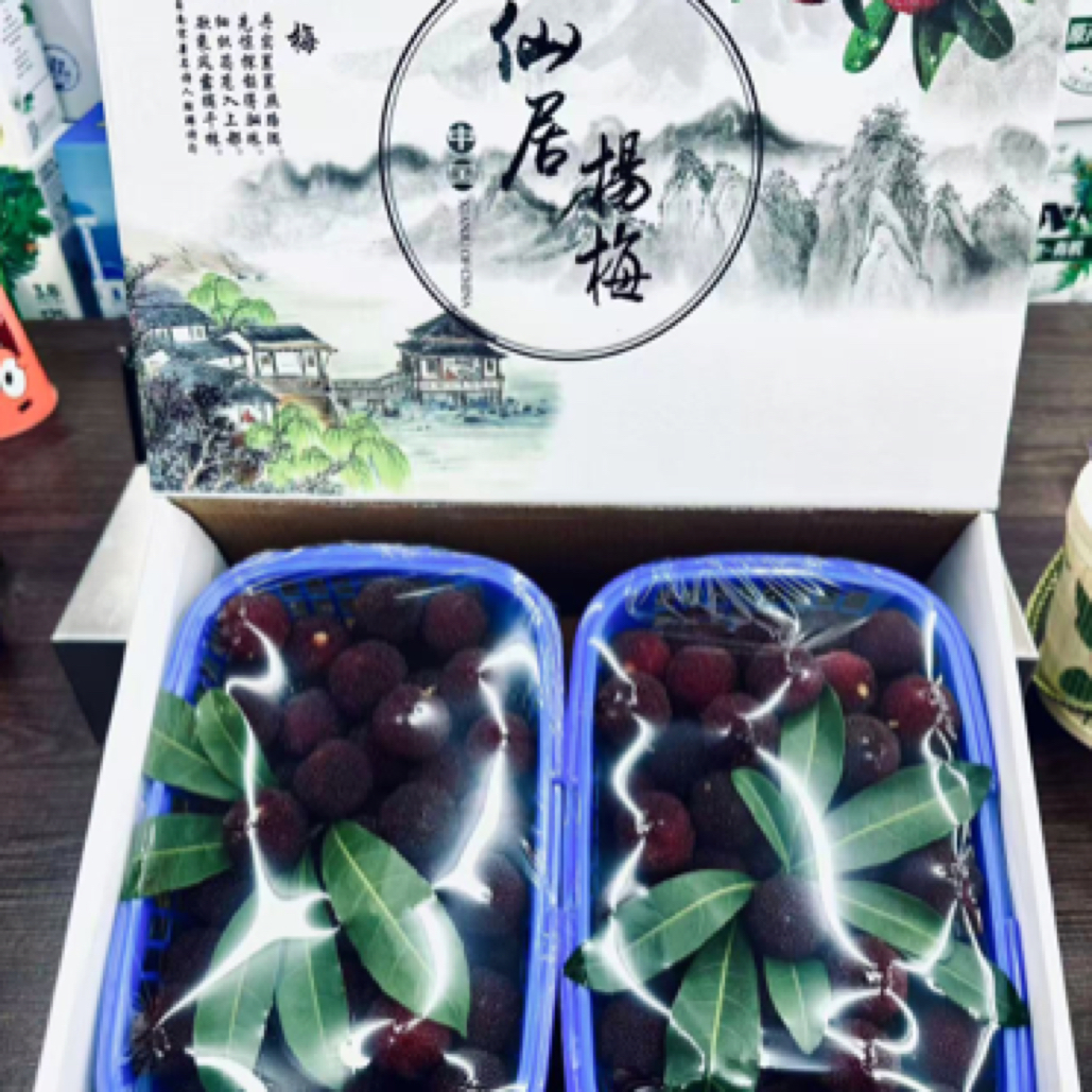 正宗仙居东魁杨梅6斤装简装当天采摘