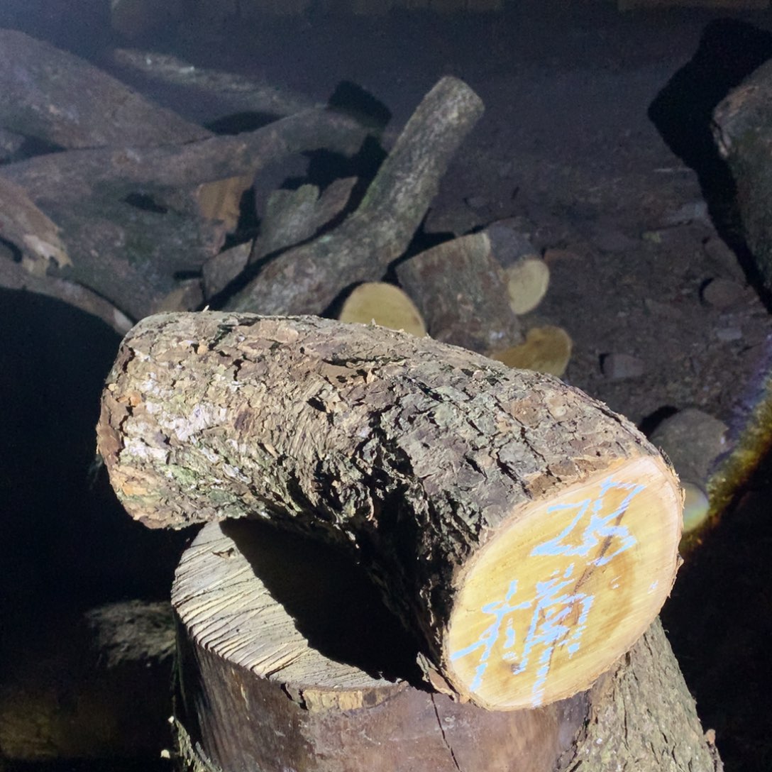 楠***色小叶桢楠金丝楠木