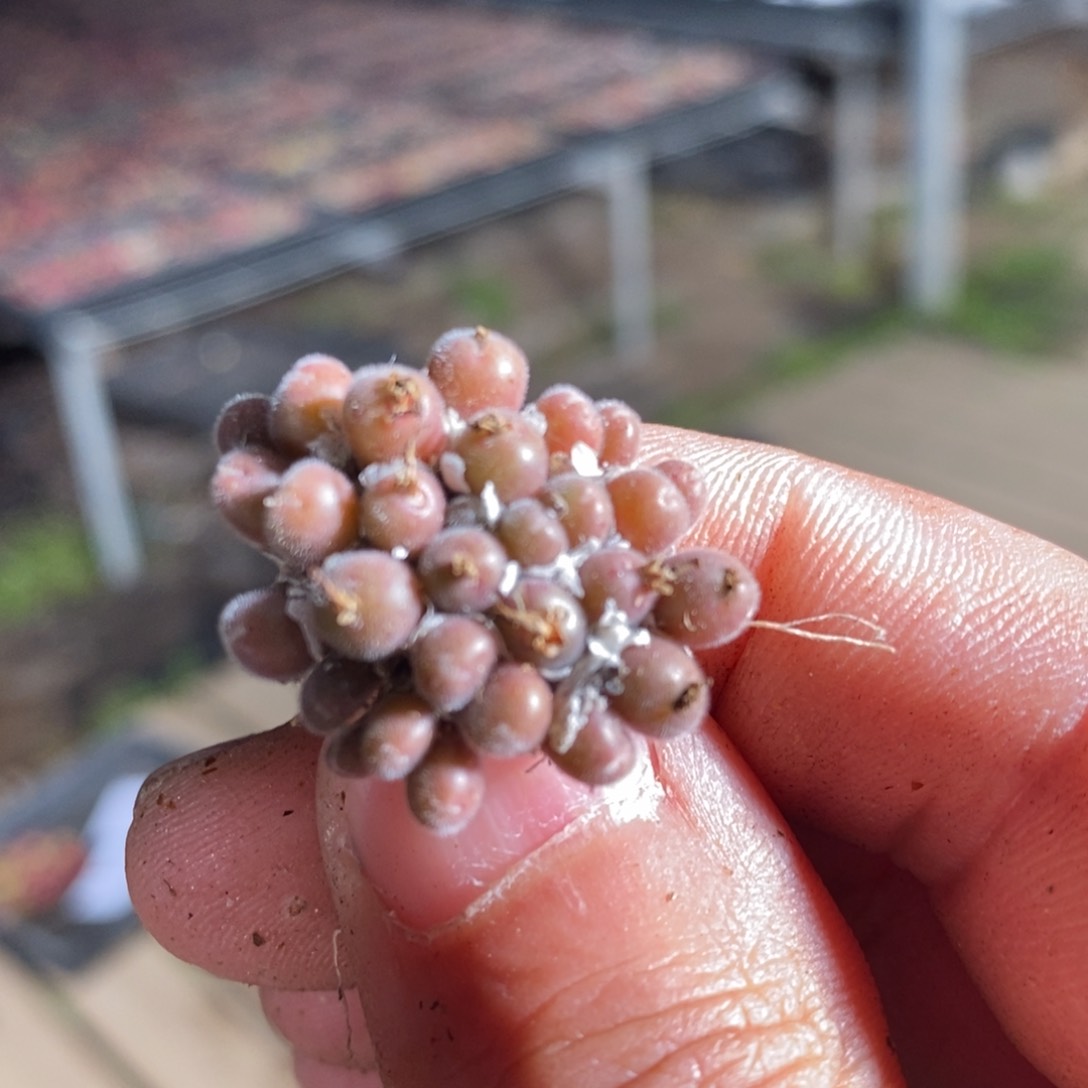 14153一个一个一个