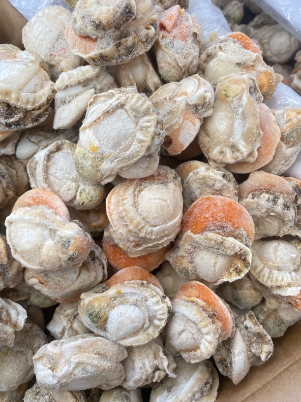 4斤扇贝肉 苏北大毛贝