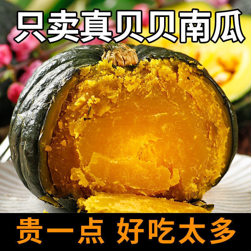 正宗贝贝南瓜包粉净重五斤装