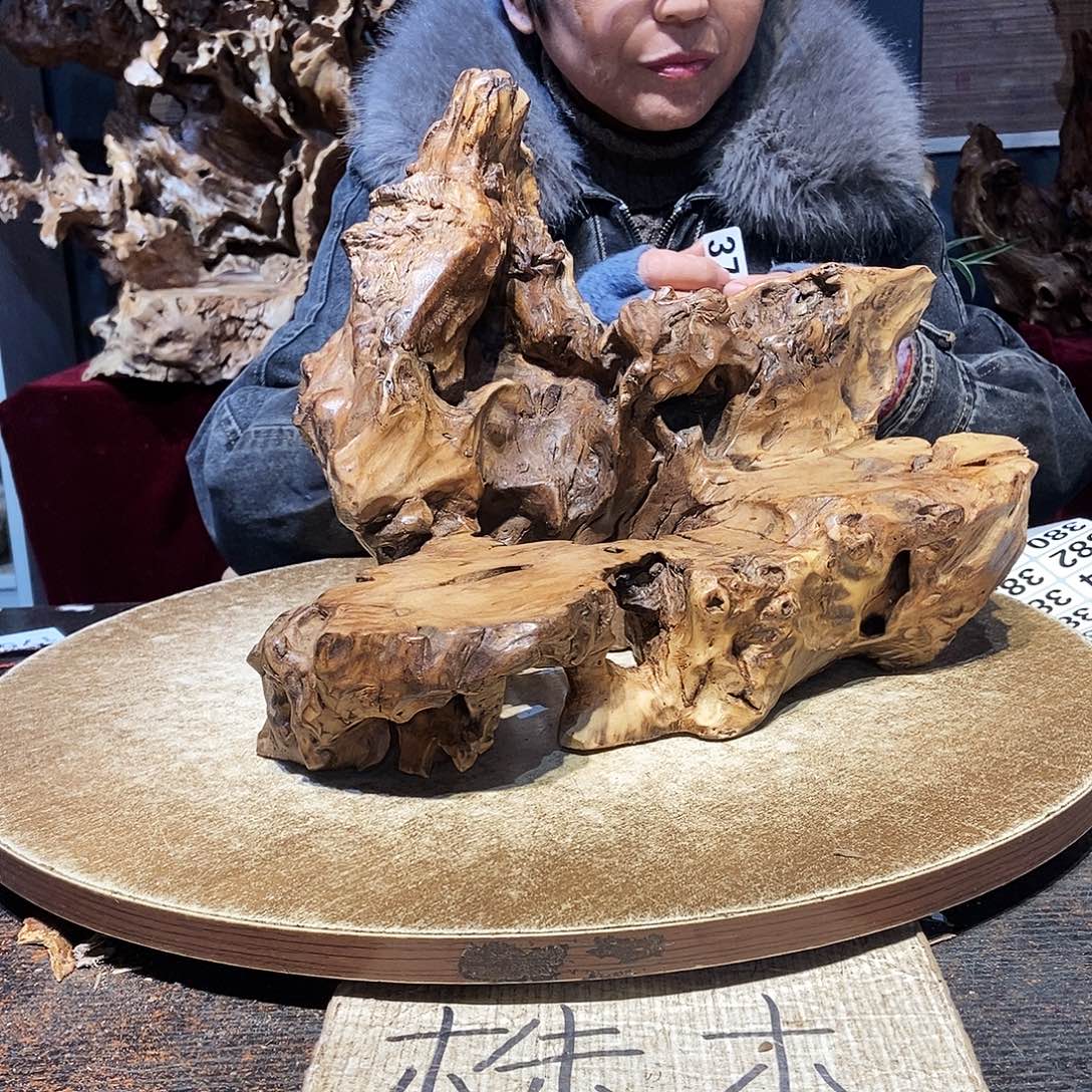 东***）378。株木随行根艺