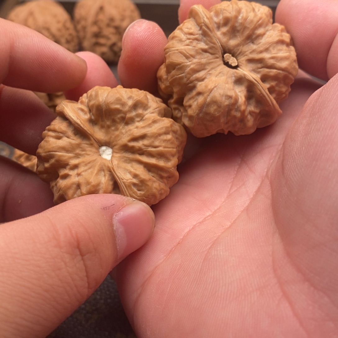 文玩核桃吊坠霸王龙