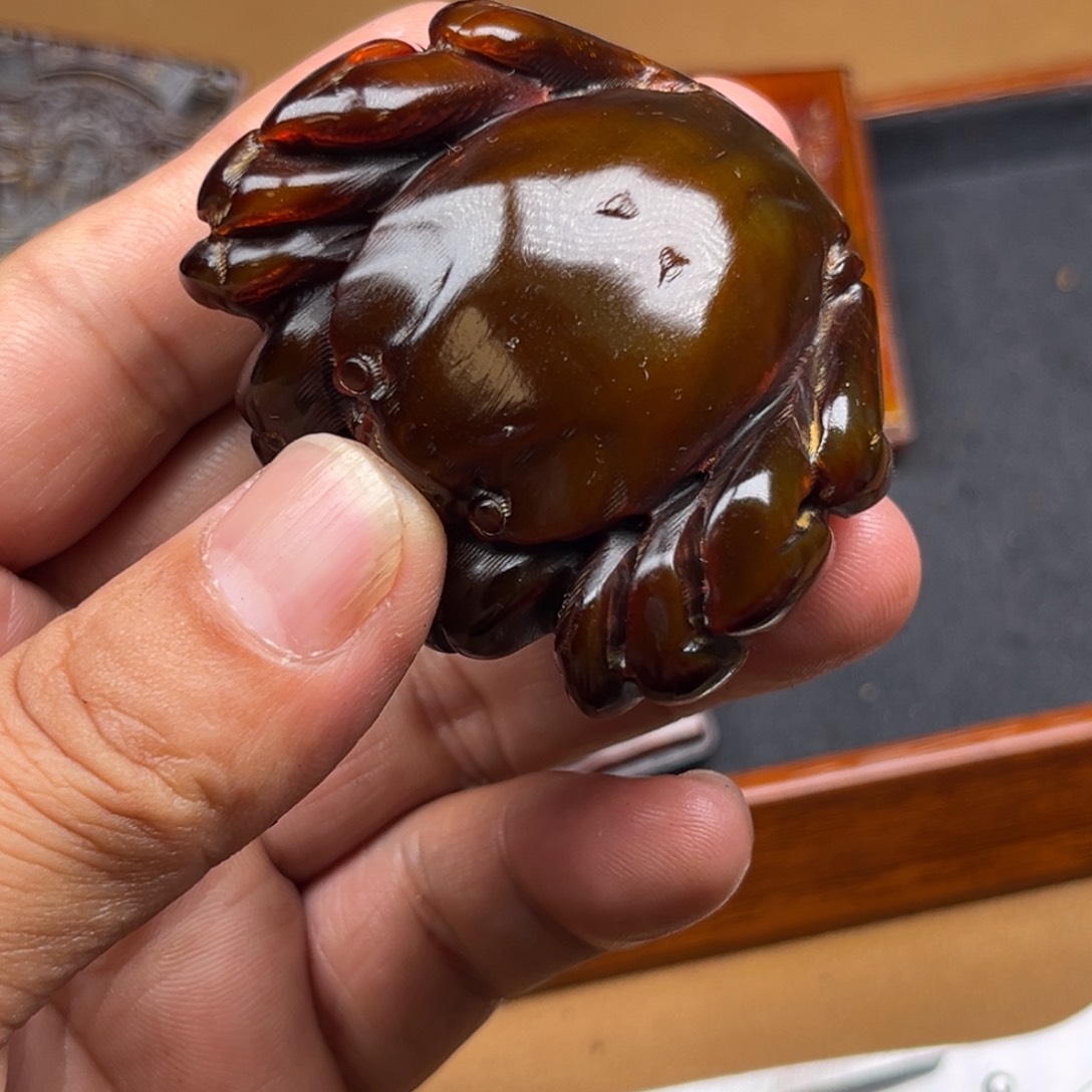 其他鹿骨好看又好玩