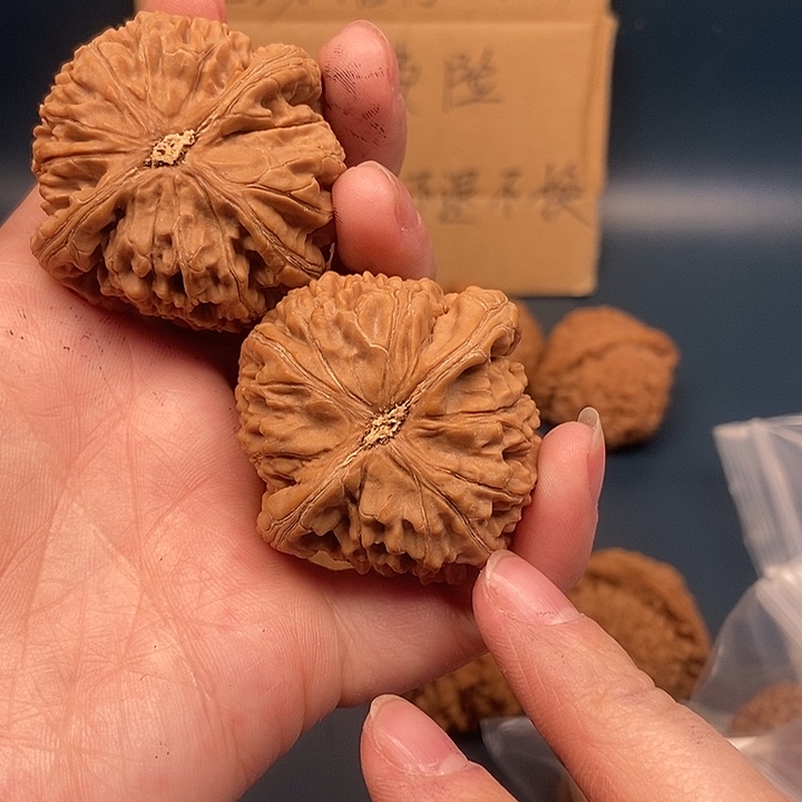 识***别大大大大大大水龙