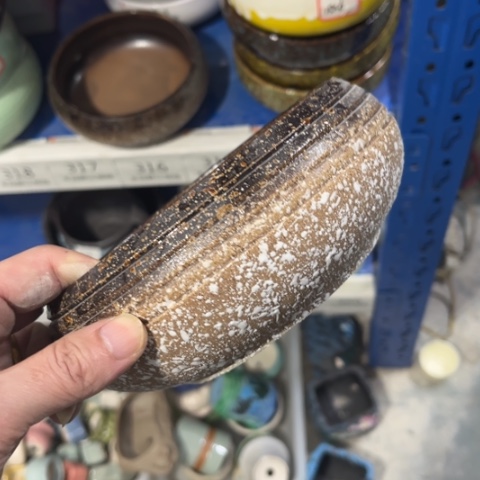 ［所有订单凑满15明天发］15×6