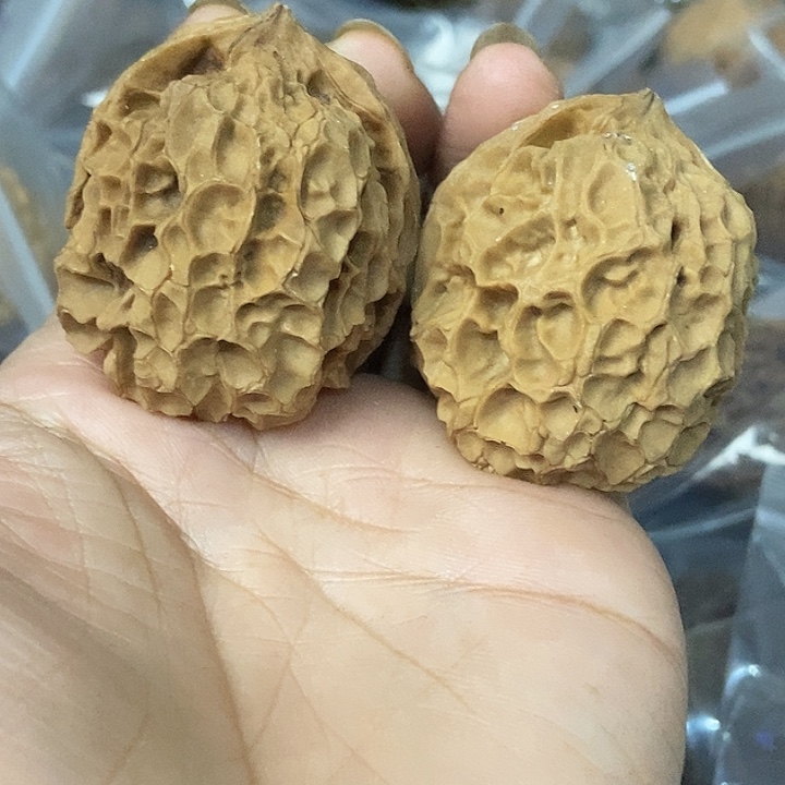 文玩核桃把件云南铁核桃基地44